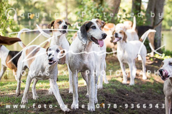 19 - Jubiiläumsjagd Sudermühlen