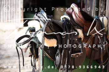 19 - Jubiiläumsjagd Sudermühlen