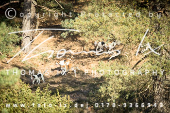 21 - Sko-Jagd Rehrhof 21 - Sko-Jagd Rehrhof
