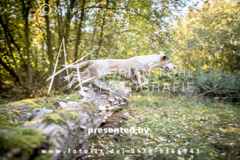 23 - Jagd Heitlingen