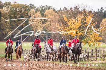 26 - Zwei-Meute-Jagd Wietzetze