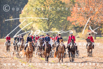 26 - Zwei-Meute-Jagd Wietzetze 26 - Zwei-Meute-Jagd Wietzetze