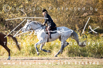 26 - Zwei-Meute-Jagd Wietzetze