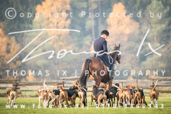 32 - Waldjagd Severloh