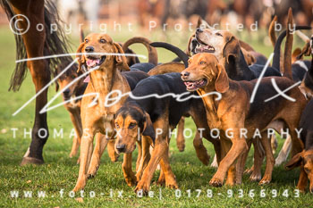 32 - Waldjagd Severloh