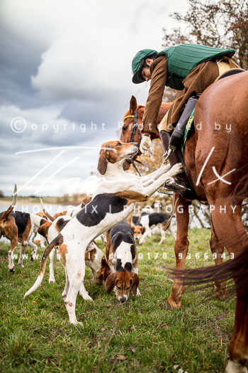 35 - Jagd Thedinghausen