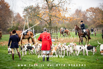 37 - Jagd Harsefeld 37 - Jagd Harsefeld