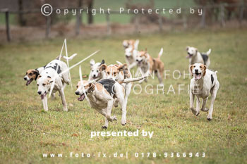 39 - Herbstjagd Sudermühlen