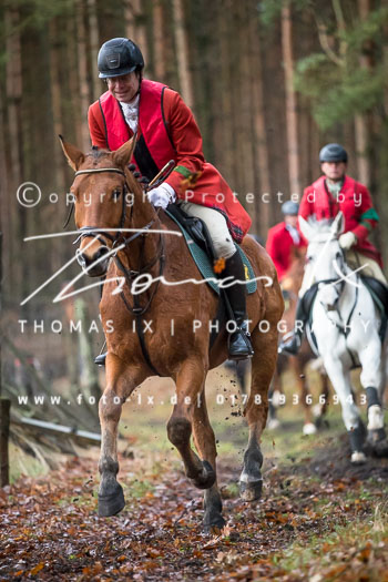 41 - Jagd Wense 41 - Jagd Wense