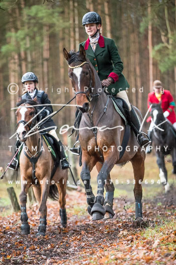 41 - Jagd Wense 41 - Jagd Wense
