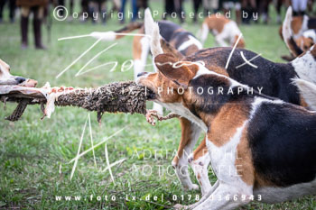 06 - Jagd Langendorf