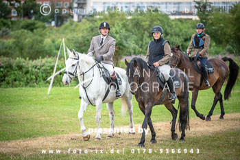 11 - Meutearbeit Horner Rennbahn