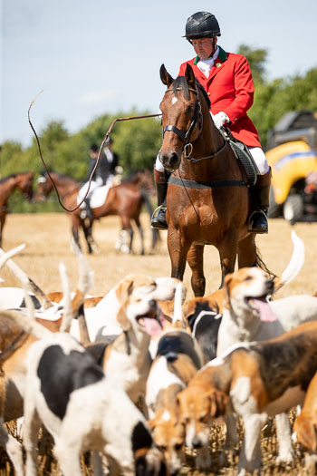 13 - Jagd Rohlfshagen