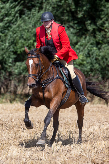 13 - Jagd Rohlfshagen