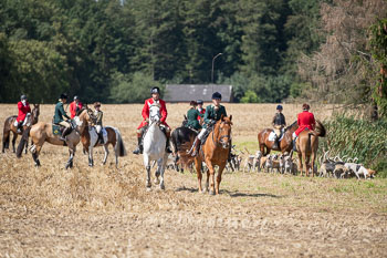 13 - Jagd Rohlfshagen 13 - Jagd Rohlfshagen
