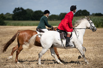 13 - Jagd Rohlfshagen