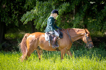 13 - Jagd Rohlfshagen 13 - Jagd Rohlfshagen
