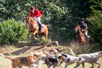 13 - Jagd Rohlfshagen