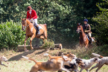 13 - Jagd Rohlfshagen 13 - Jagd Rohlfshagen