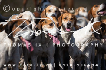 19 - Jagd Hermannsburg