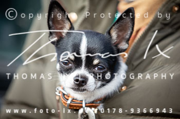 21 - Jagd Mechtersen