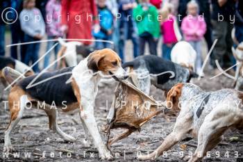22 - Jagd Heitlingen 22 - Jagd Heitlingen