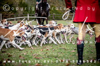 29 - Jagd Harsefeld 29 - Jagd Harsefeld