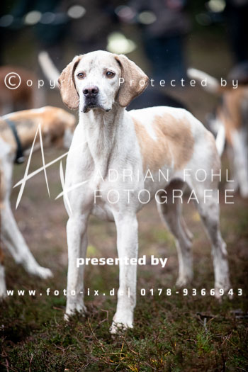 32 - Jagd Hermannsburg