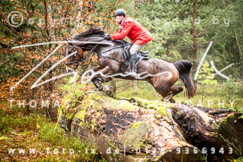 33 - Jagd Ehlbeck 33 - Jagd Ehlbeck