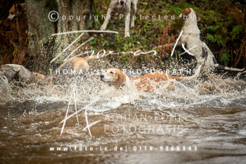 34 - Jagd Sudermühlen