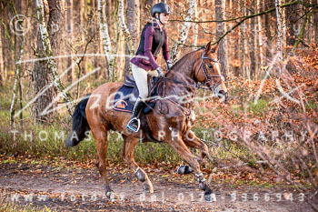 36 Jagd Toppenstedt 36 Jagd Toppenstedt