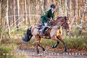 36 Jagd Toppenstedt