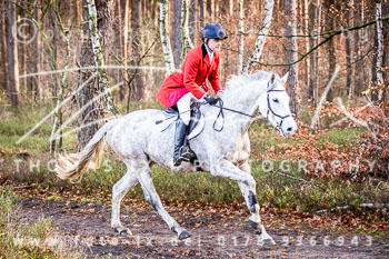 36 Jagd Toppenstedt
