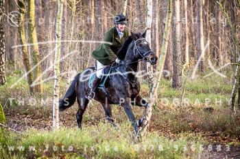 36 Jagd Toppenstedt 36 Jagd Toppenstedt