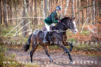 36 Jagd Toppenstedt 36 Jagd Toppenstedt
