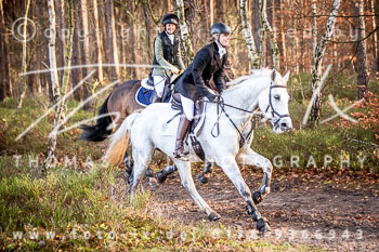 36 Jagd Toppenstedt
