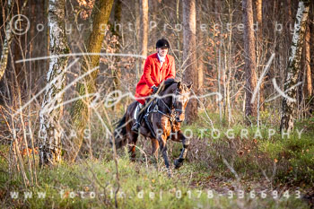 36 Jagd Toppenstedt 36 Jagd Toppenstedt