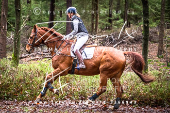 37 - Jagd Wense 37 - Jagd Wense