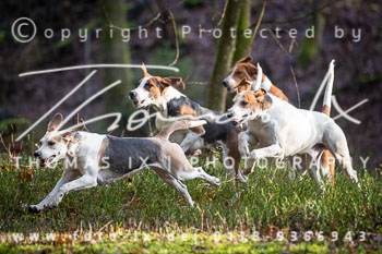 01 - Meutearbeit Jesteburg