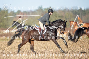 01 - Meutearbeit Jesteburg