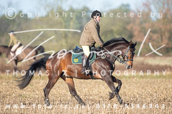 01 - Meutearbeit Jesteburg