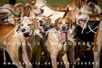 02 - Meutearbeit Solchstorf