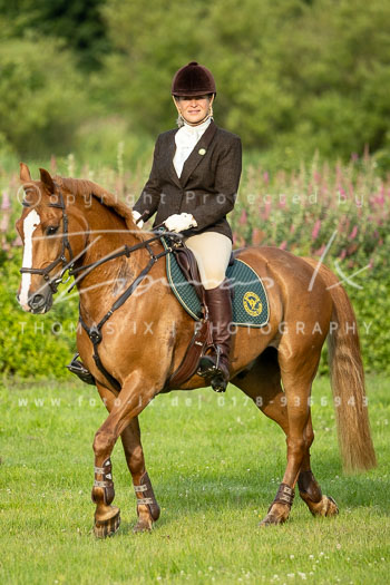 03 - Horner Rennbahn