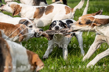 03 - Horner Rennbahn