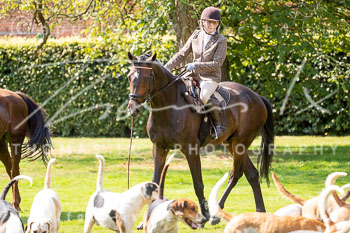 04 - Damenjagd Gut Basthorst