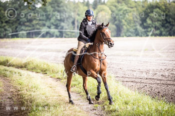 06 - Schleppjagd Rittergut Schnellenberg
