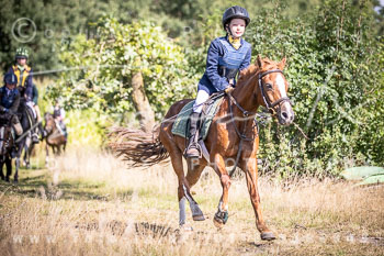 08 - Schleppjagd Ellingen
