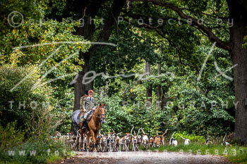 11 - Meutearbeit Gut Schwechow