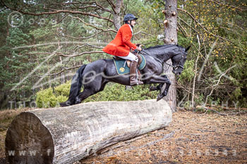 12 - Sko-Jagd Forstgut Rehrhof