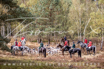 12 - Sko-Jagd Forstgut Rehrhof